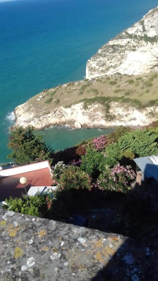 Casa Vacanze Flora ペスキチ エクステリア 写真